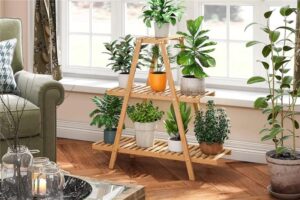 Ladder Plant Stands
