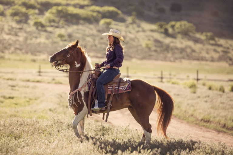 horseback riding tours