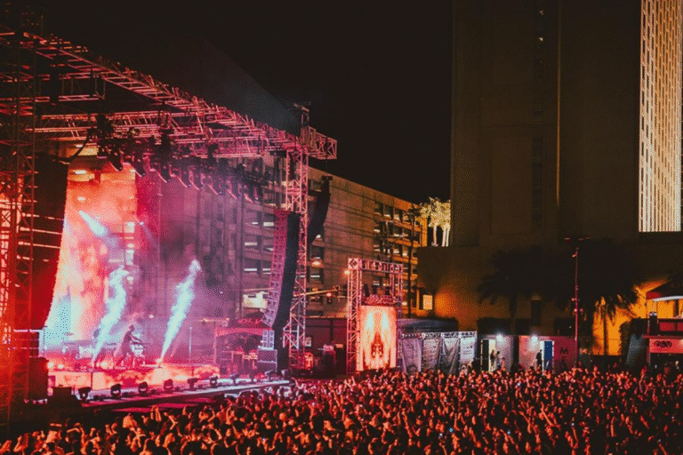 Las Vegas live shows