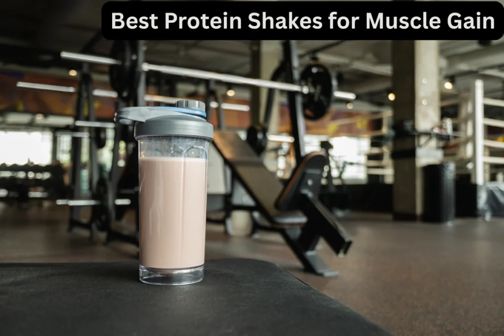 How to Choose Best Protein Shakes for Muscle Gain protein shakes