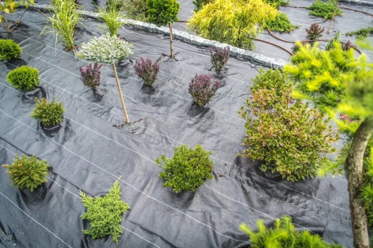 Weed control fabric