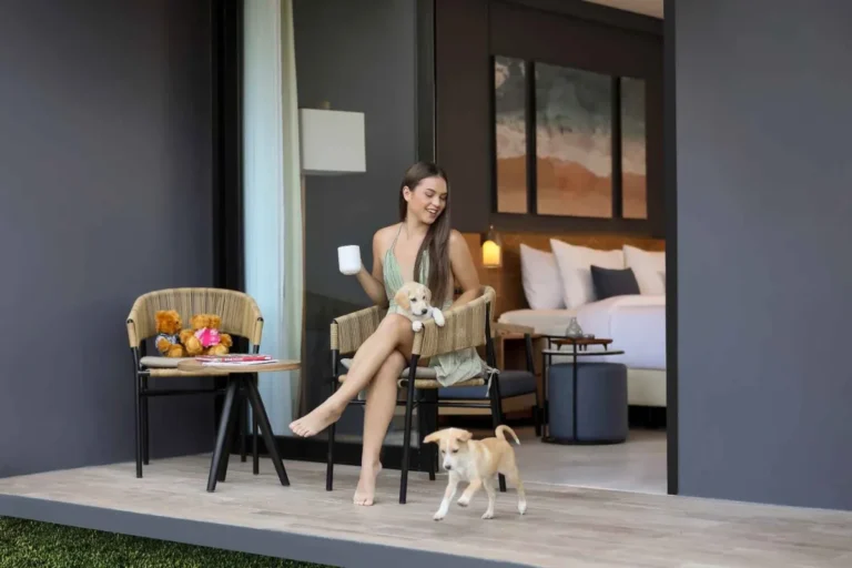 Belfast City Hotels Offering Pet-Friendly Services and Modern Comfort