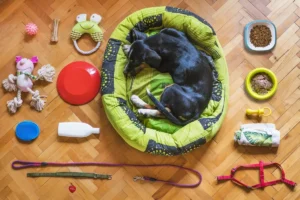Pet Wellness Products