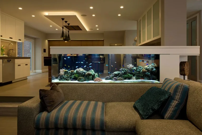 Best Large Freestanding Fish Tanks for Modern Home Aquariums Large Freestanding Fish Tanks