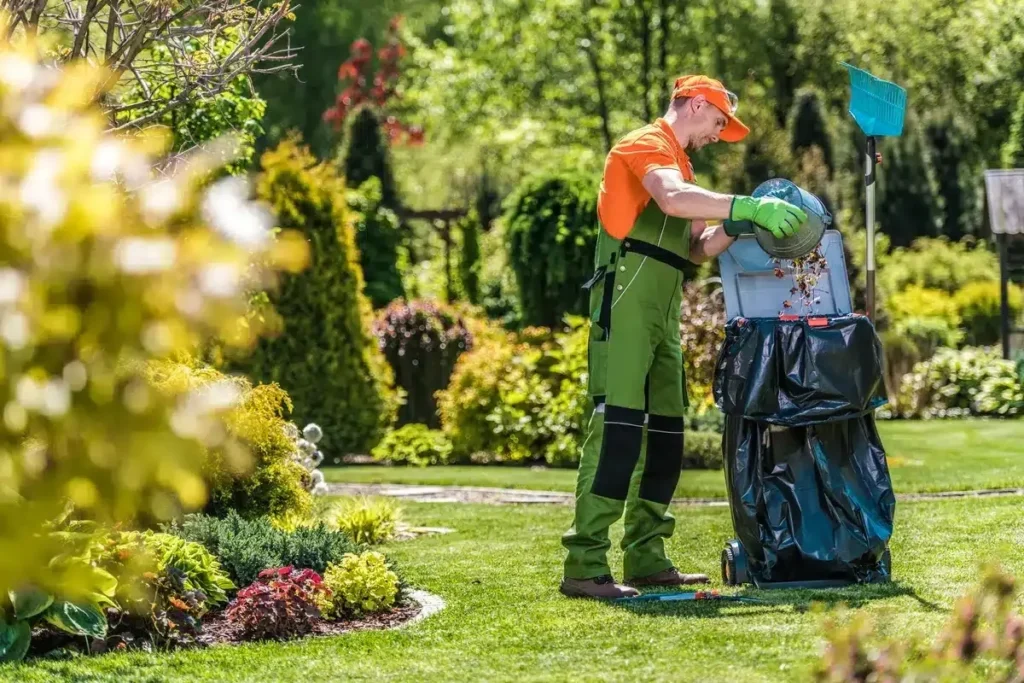 Best Yard Cleanup Services for a Cleaner and Healthier Outdoor Space