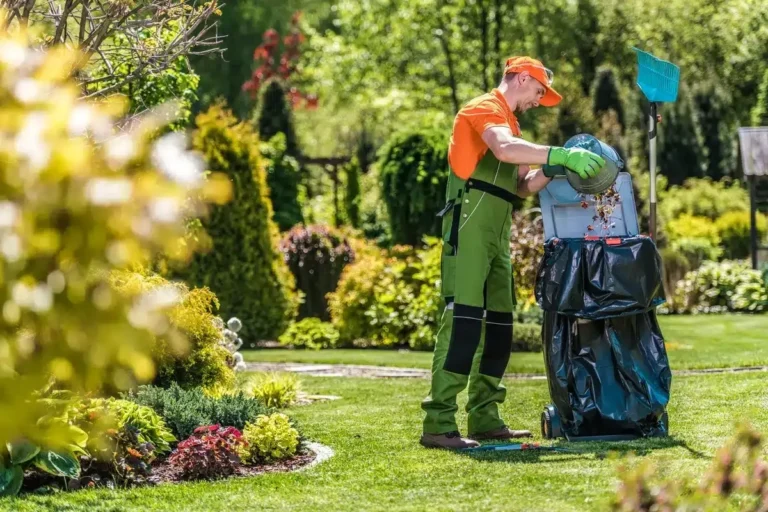 Best Yard Cleanup Services for a Cleaner and Healthier Outdoor Space