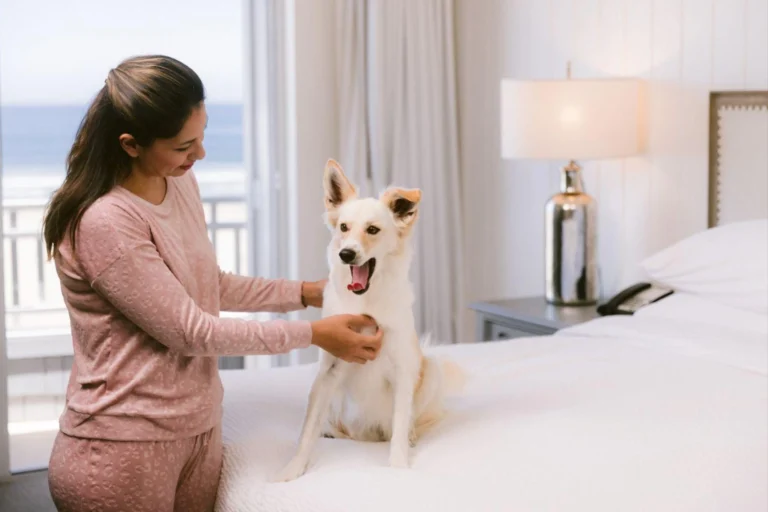 Top-Rated Pet-Friendly Accommodations in Panama City Beach Worth Booking