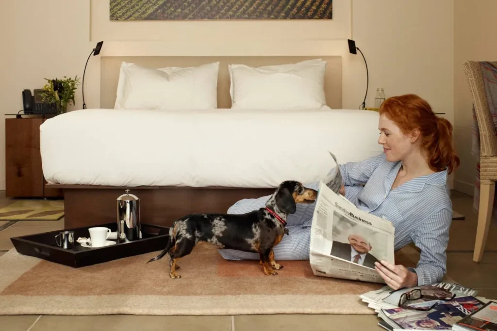 Boise’s Top Hotel Picks for Pet-Friendly Comfort and Memorable Stays