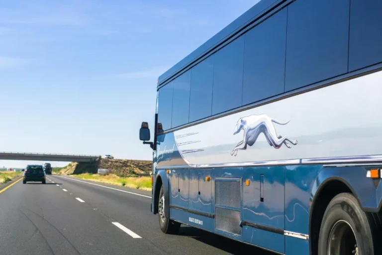 Discover Fresno by Bus: Attractions, Dining & How to Get Around