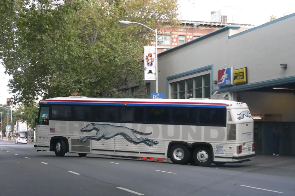 Sacramento Bus Travel Guide: Best Attractions, Local Food & Travel Tips
